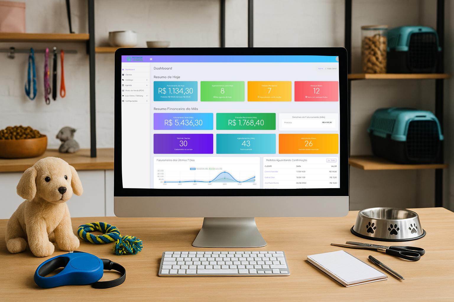 Tela do Dashboard Financeiro do Meu Gestor Pet